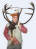 Abbotts Bromley Horn Dance 